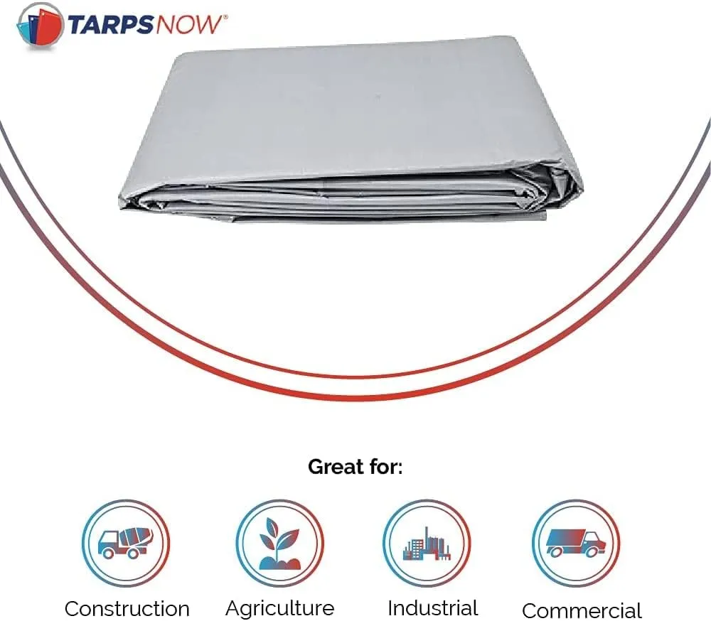 Tarps Now 20x20 Feet Poly Tarp |12 MIL Heavy Duty Waterproof Cover |Rip and Tear Proof Plastic Tarp with Rustproof Aluminum Grommets & Reinforced Edges |Ideal for Roof Repairs, Landscaping-Silver