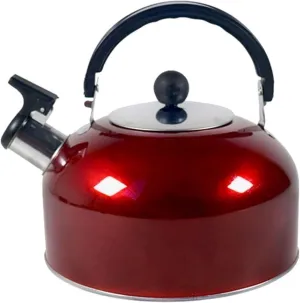Teapot with Infuser Ergonomic Handle Stainless Steel for Hiking Cooking Whistling Kettle Teapot for Trips 3L Stove Gas Water Kettle Teakettle Home
