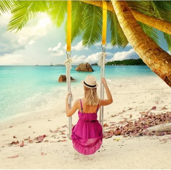 Tree Swing Hanging Hammock Straps Kit