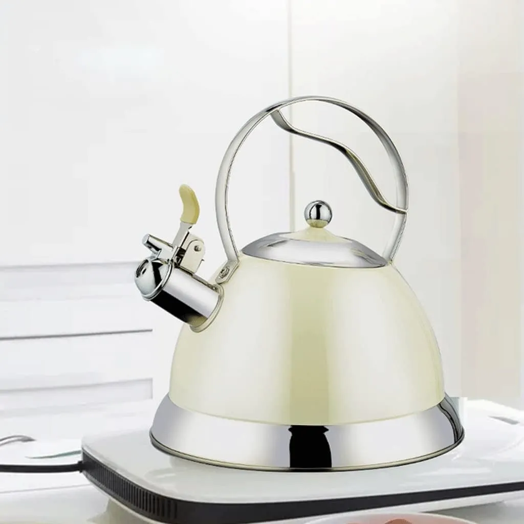 Whistle Teapot Rust Stainless Steel Gas Electric Stove Kettle Water Teapot Camping Portable Heating Teapot (Color : Green Size : One Size)