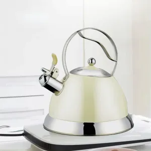 Whistle Teapot Rust Stainless Steel Gas Electric Stove Kettle Water Teapot Camping Portable Heating Teapot (Color : Green Size : One Size)