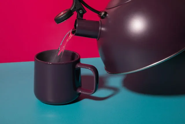 Whistling Kettle | Purple