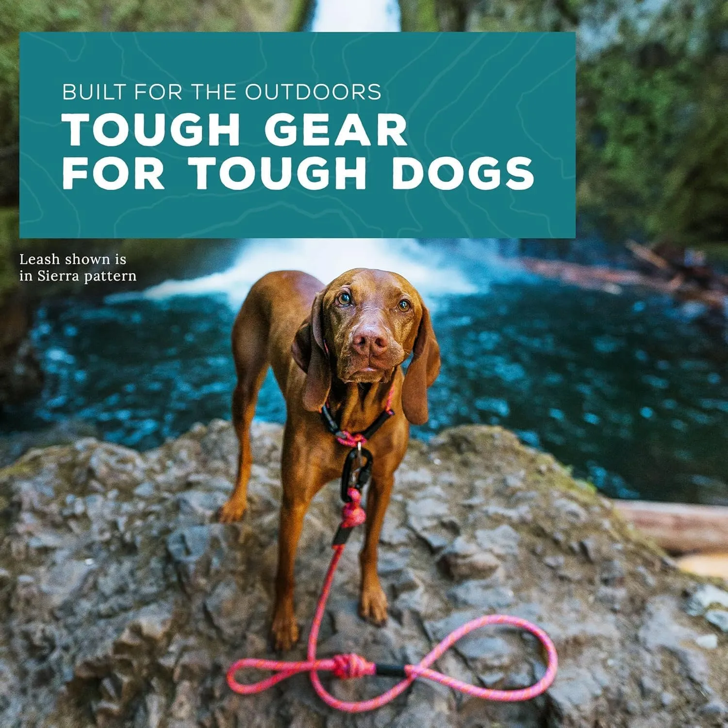 Wilderdog Small Carabiner Climbing Rope Dog Leash for Small & Medium Dogs - 5ft - Alpine - 1Ct