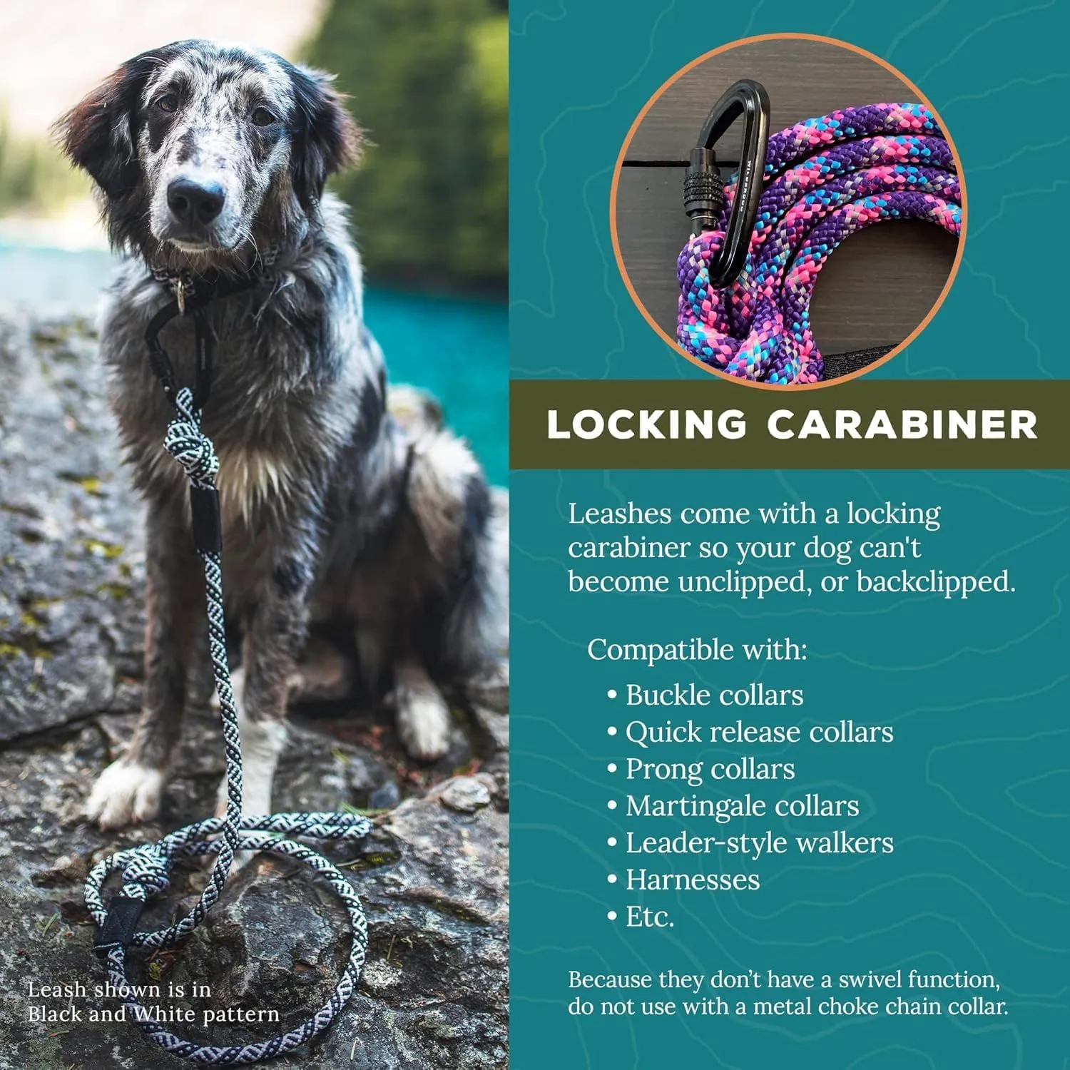Wilderdog Small Carabiner Climbing Rope Dog Leash for Small & Medium Dogs - 5ft - Alpine - 1Ct
