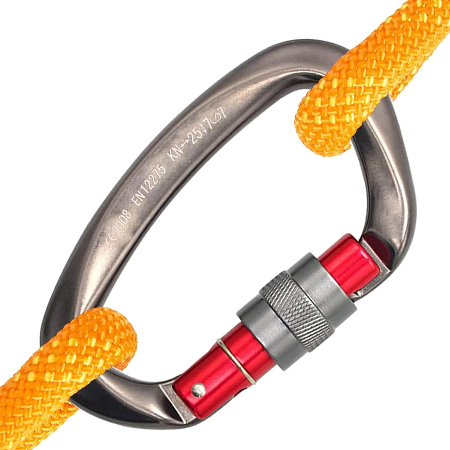 YIJU D Shaped Carabiner Clip for Key Chain and Attachments