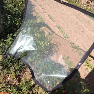 ZHANGQINGXIU Transparent Tarpaulins Waterproof Tarpaulin Rugged Universal 120gsm Car Boat Roof Rain Cover Camping Tent PVC Soft Film, 24 Sizes (Color : Clear, Size : 1x2m)